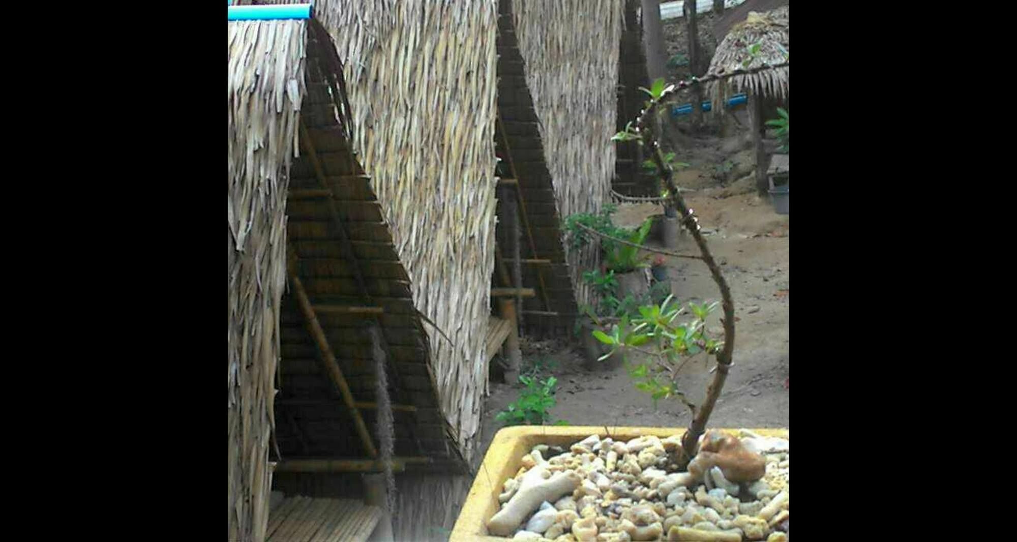 Lipe Camping Zone 外观 照片